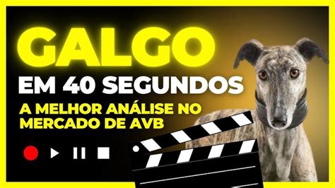 tv greyhound brasil|corrida de galgos ao vivo brasil.